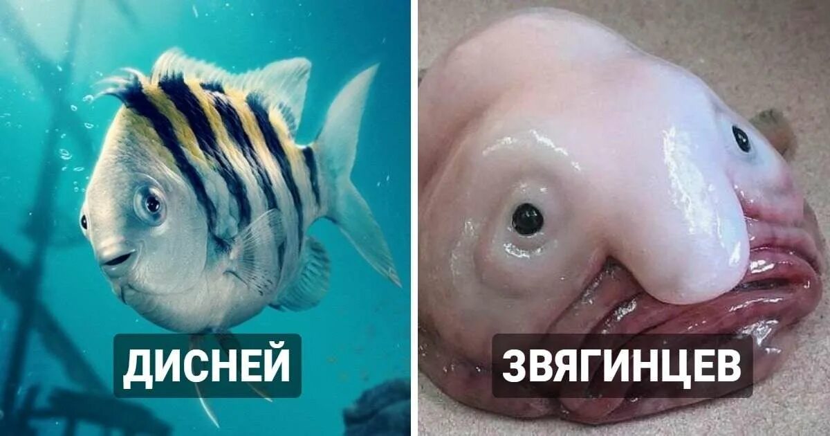 Умеют строить или разучились: какие станции Большой кольцевой линии в Москве вой