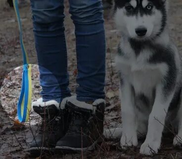 Долго гуляешь