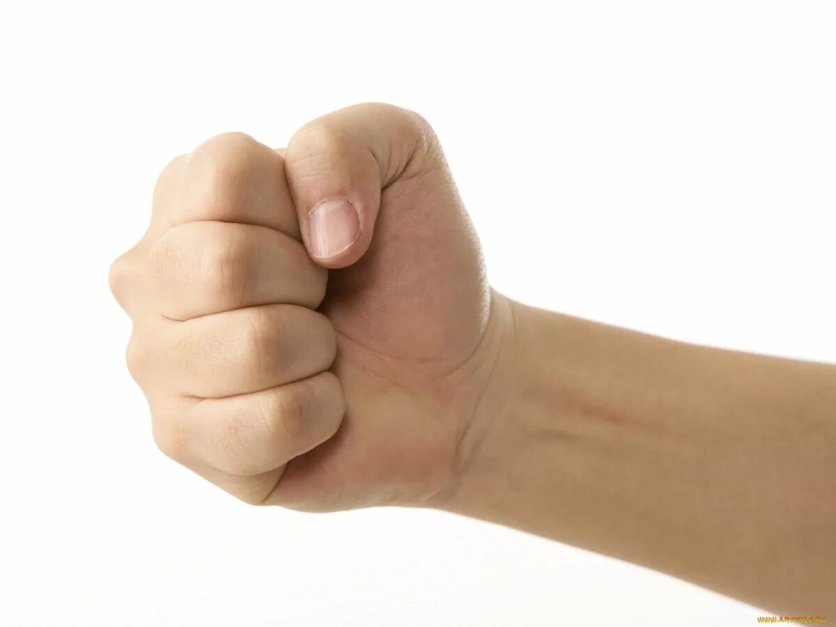 Рука сжатая в кулак. Сжать ладони. Кулак. Переплетенные ладони. Кисть руки.