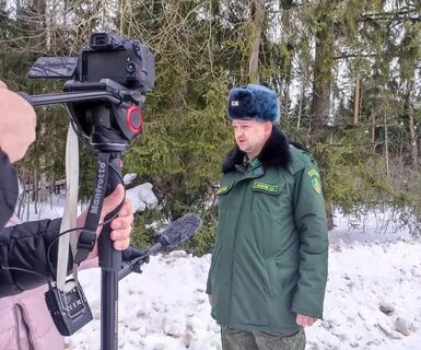 Егорьевское лесничество