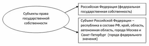 Управление федеральной собственностью это какой субъект