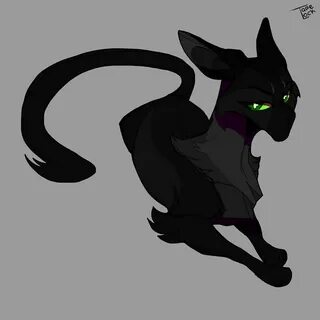 Коты воители тень