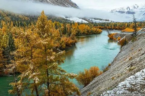 Siberia altai