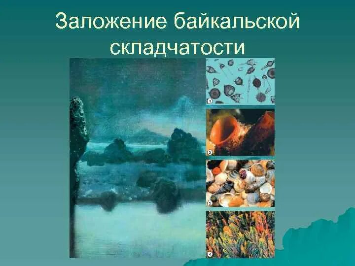 Где находится байкальская складчатость. Возраст байкальской складчатости. байкальская складчатость горы. складчатость озера байкал. эпохи тектогенеза.