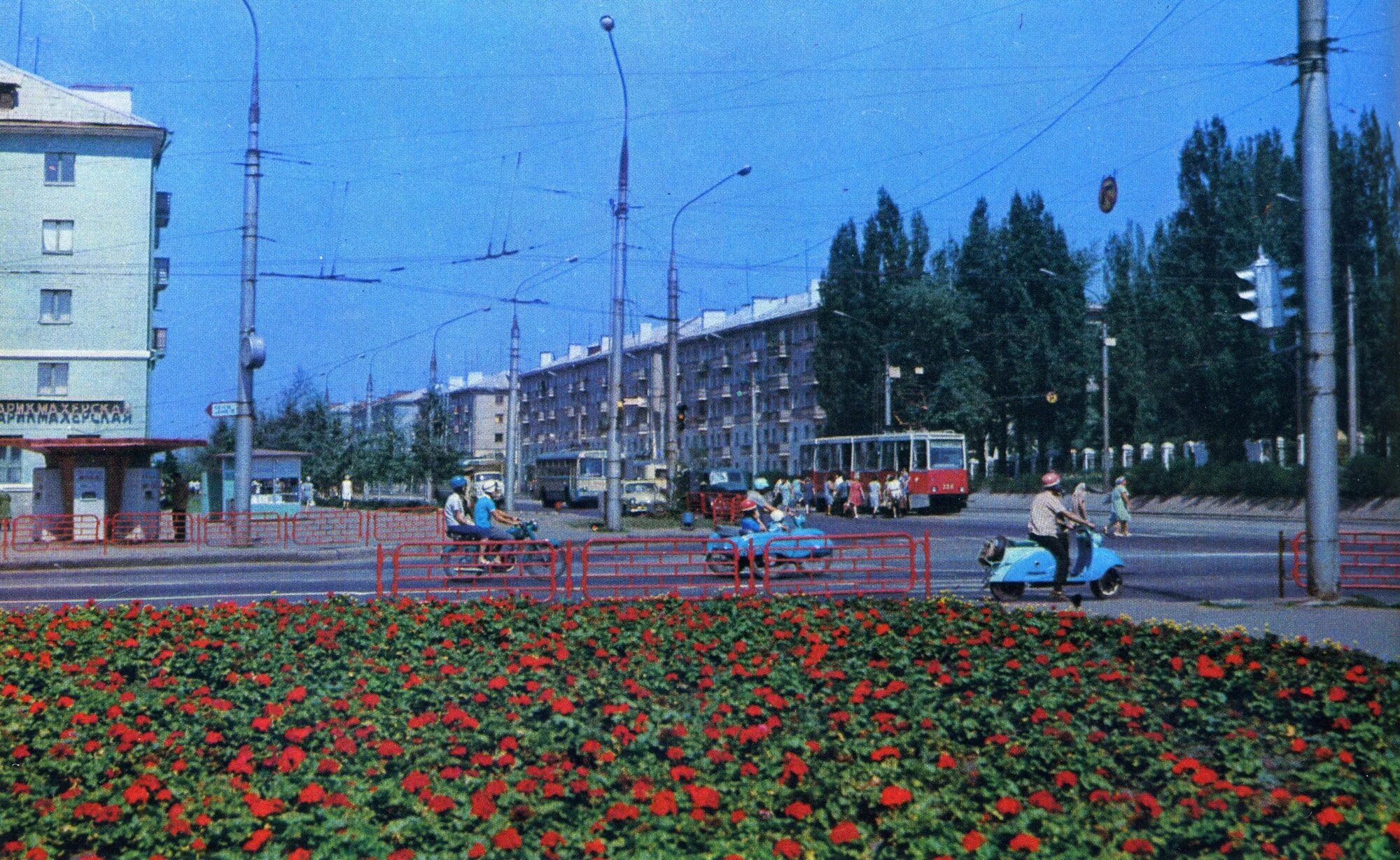 Цветы на левом берегу