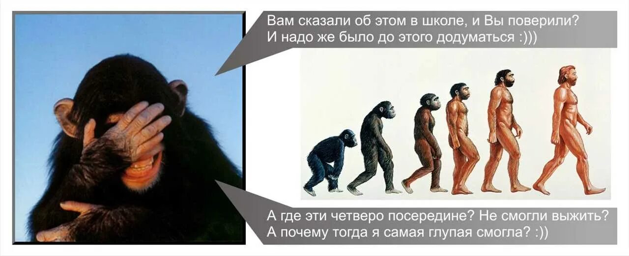 Покажи эволюцию
