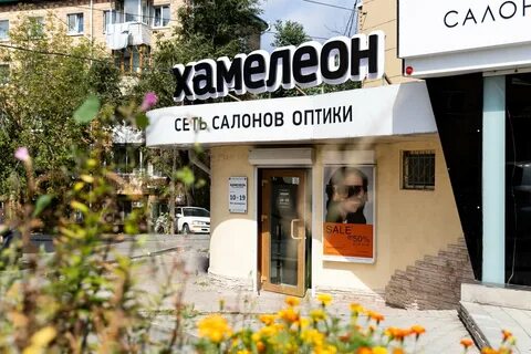 Хамелеон калининград