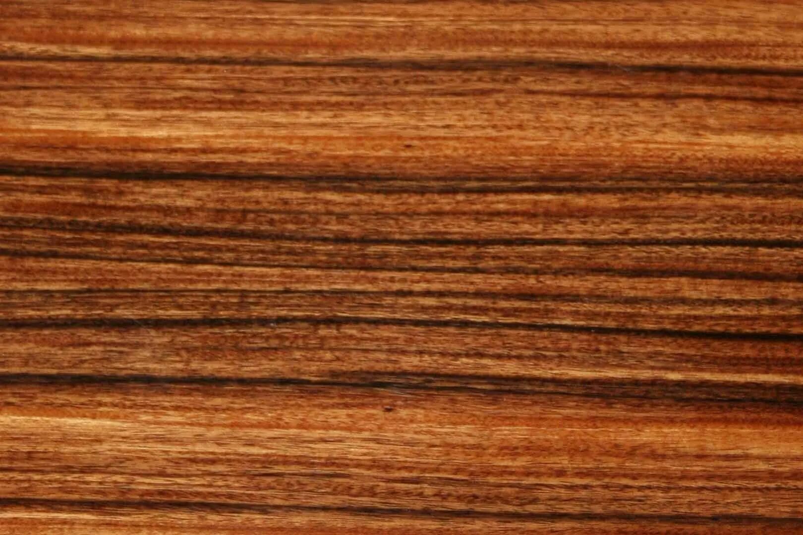 Шпон палисандр 372s. Wood палисандр. Палисандр сантос дерево. Палисандр сантос шпон. Dalbergia cearensis.