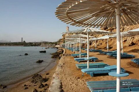 Beach albatros sharm отзывы