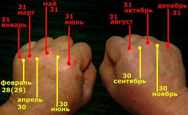 Как узнать сколько было жизней. Дни в месяцах по костяшкам. Месяца по косточкам рук. Количество дней в месяцаq. Сколько дней в месяцах.