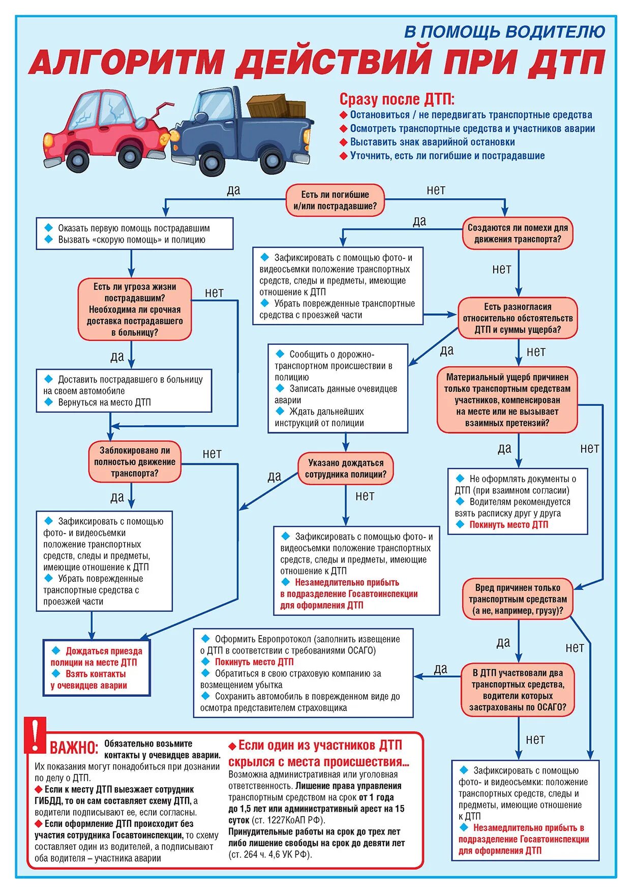 Алгоритм поведения при ДТП. Дорожно-транспортные происшествия. Алгоритм действий при ДТП. Порядок действий водителя при ДТП. Схема действий водителя при ДТП. Можно обратиться в страховую виновника