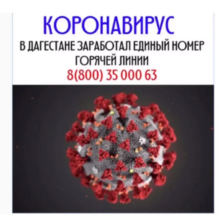 Минздрав рд махачкала горячая линия. Горячая линия логотип. Горячая линия. Горячая линия службы газа. Позвонить на горячую линию.