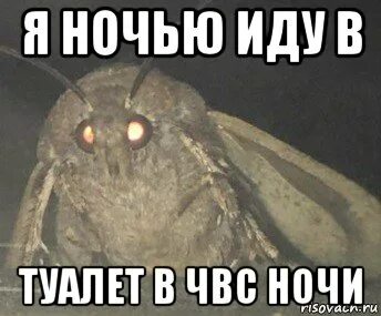 Чвс