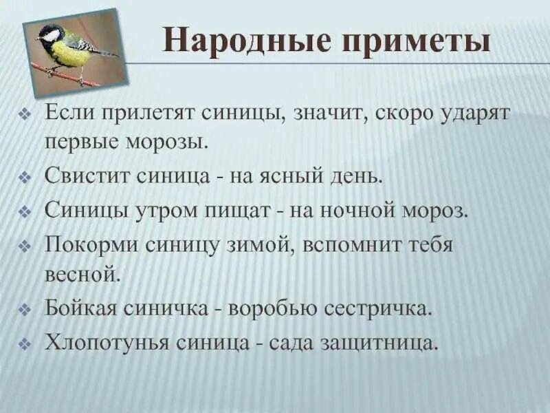 Приметы синички. Синица приметы. Народные приметы про синицу. Приметы про синичек. Приметы про синичек народные.