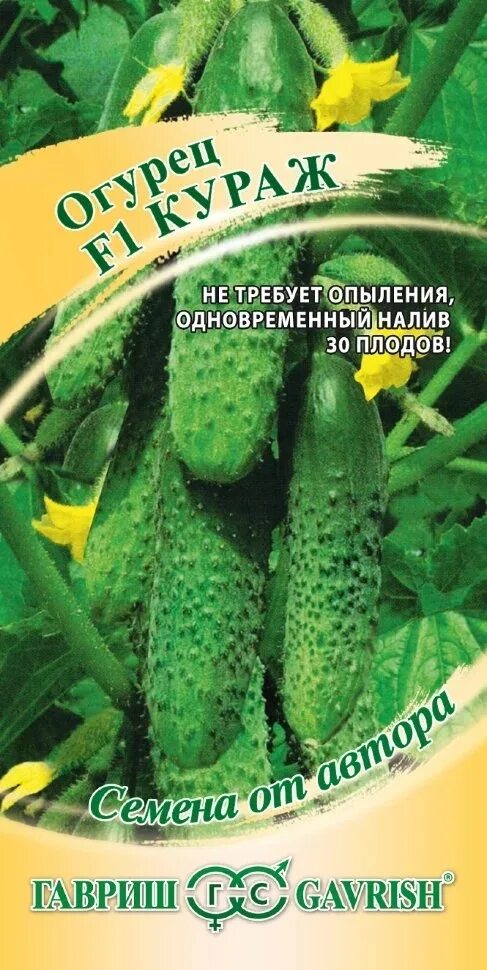 Гавриш огурец кураж f1. Семена огурцов сорта кураж. Огурец кураж от гавриш. Огурец кураж f1. Семена огурца кураж.