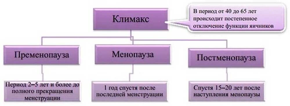 Климактерический период. Предменопауза менопауза постменопауза. Этапы постменопаузе. Климактерический период схема.