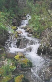 Log stream