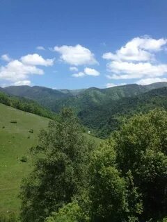 Хасаут греческое