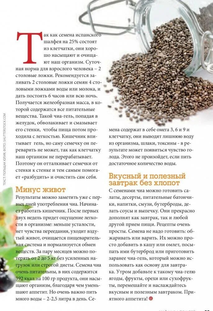 Можно ли семечки при гв
