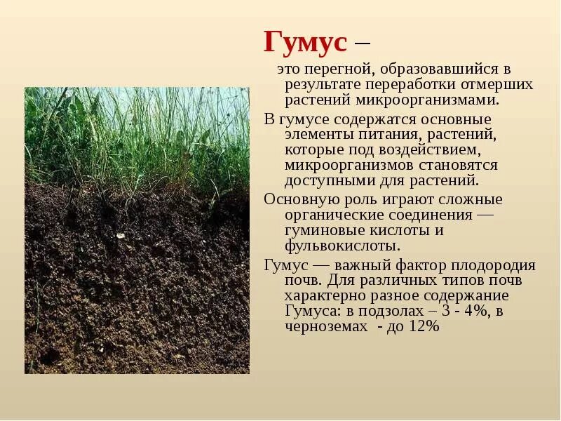 Растительной смесью является