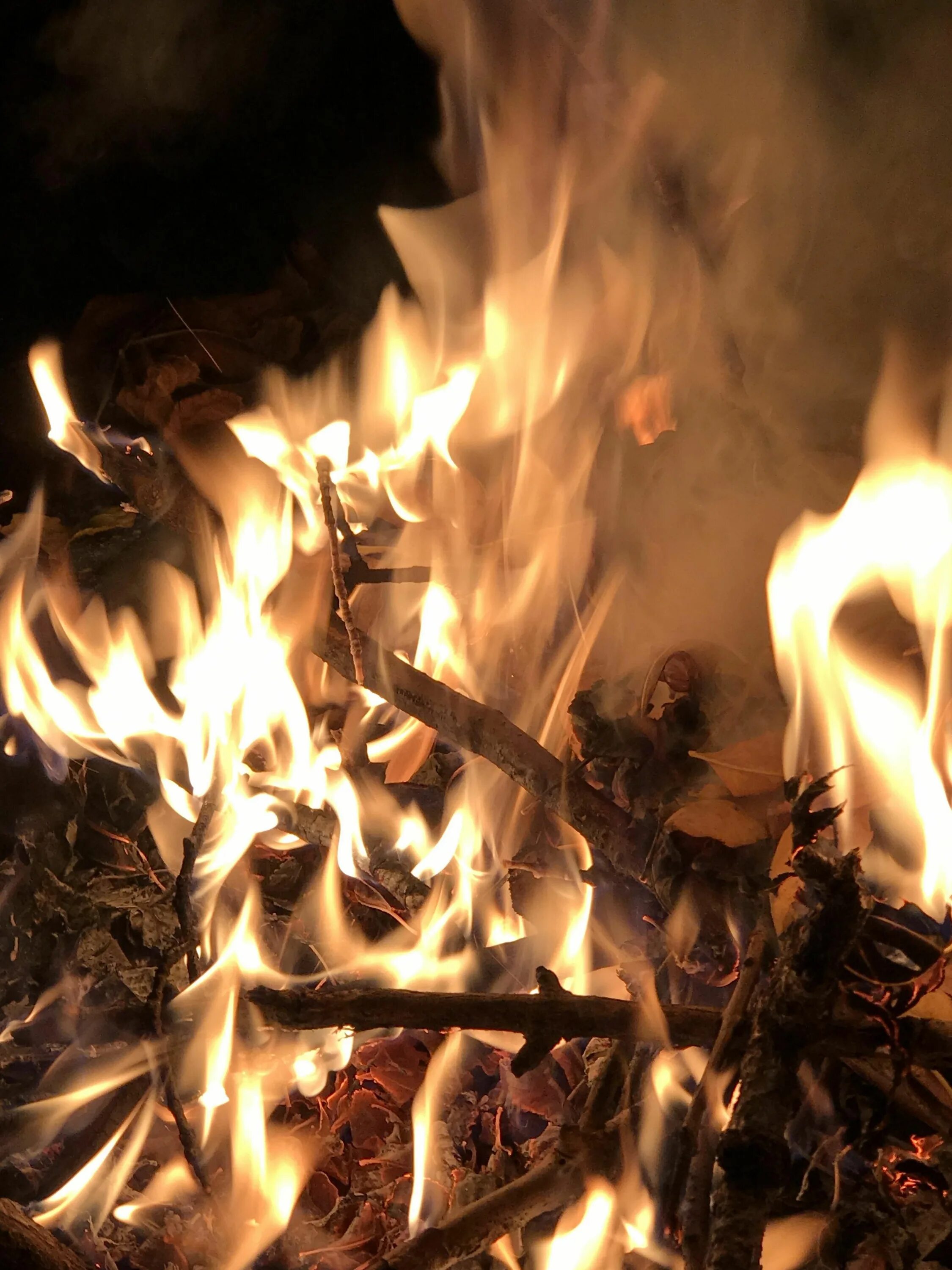 Leaf in fire. Горящая листва. Цветы в огне. Конопля в пламени. Leaf in fire.