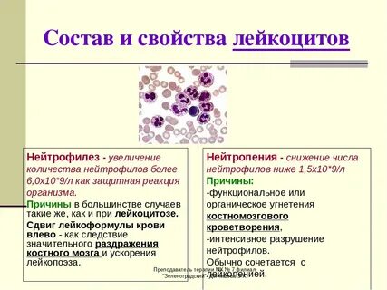 От чего повышаются лейкоциты