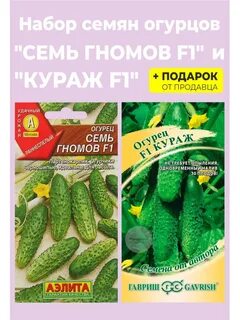 Огурцы 7