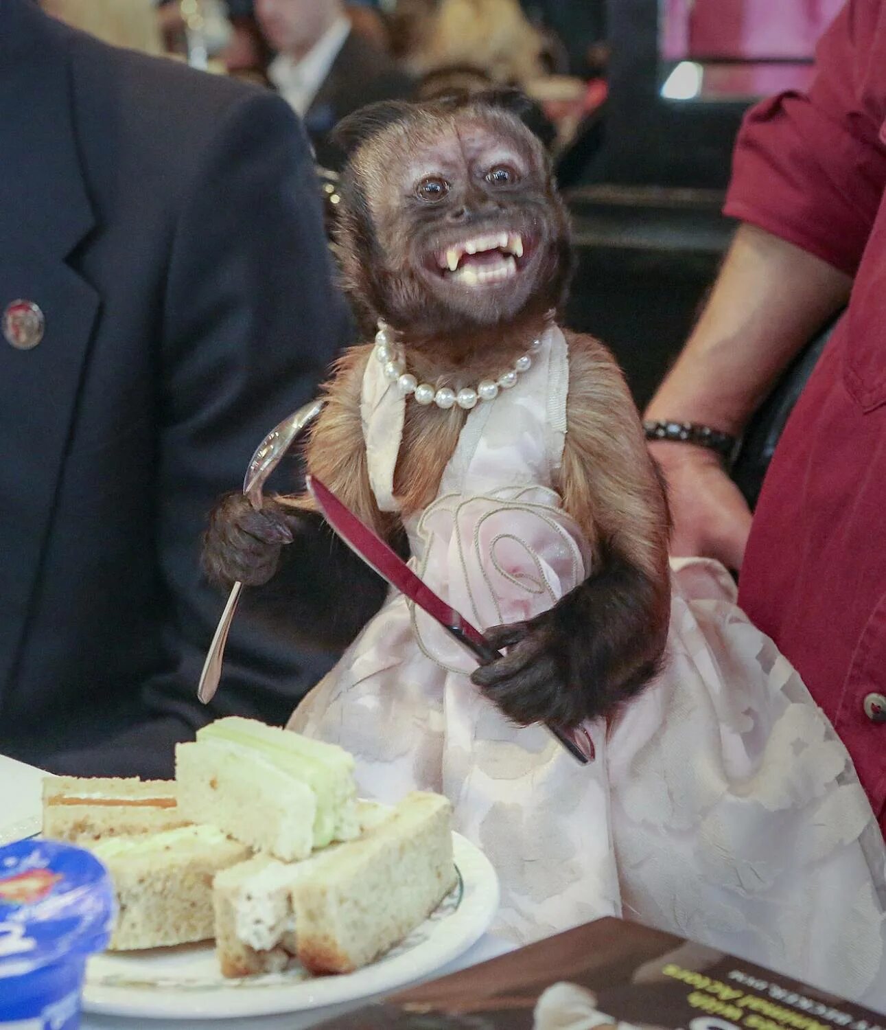 Ласка животное размеры. Виргинский опоссум с детенышами. Суп из летучей мыши китай. Страшный ежик. Животные которые едят мозги.