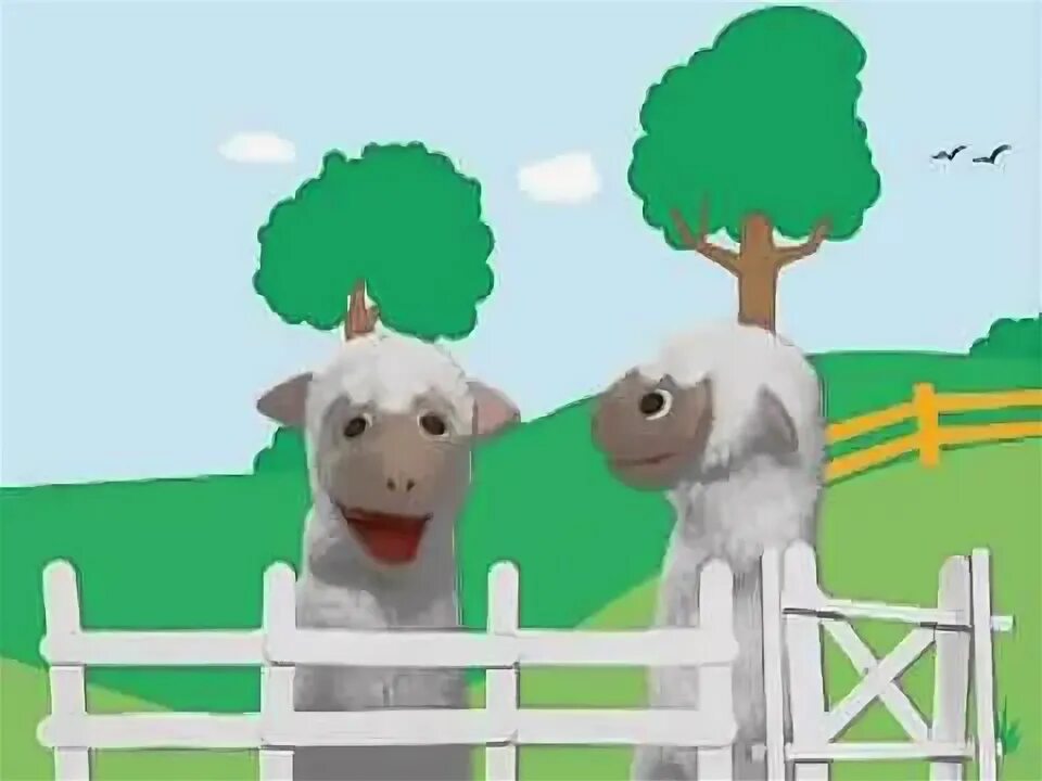 Бэби эйнштейн ферма. Baby einstein животные мои соседи. бейби эйнштейн ферма овца.