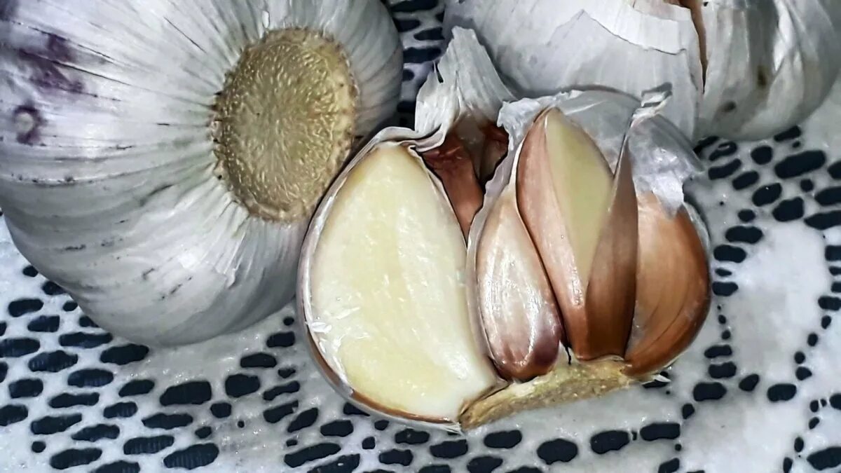 срез чеснока. лук в разрезе. чеснок яровой еленовский. чеснок. чеснок свежий.