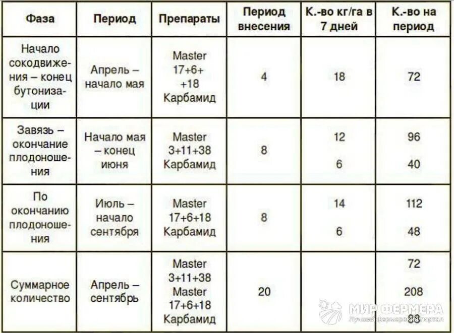 5800 vs 5900 amd. Схема подключения освещения через пускатель. Сколько нужно фаз питания. Трёхфазное напряжение 380 вольт схема. Таблица белки жиры углеводы норма в сутки.