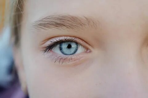 The bluest eye read