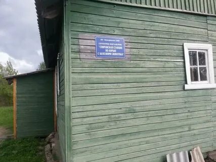 Квартиры в спирово тверская область