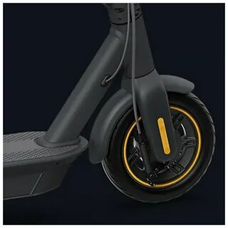 Ninebot max g30 p