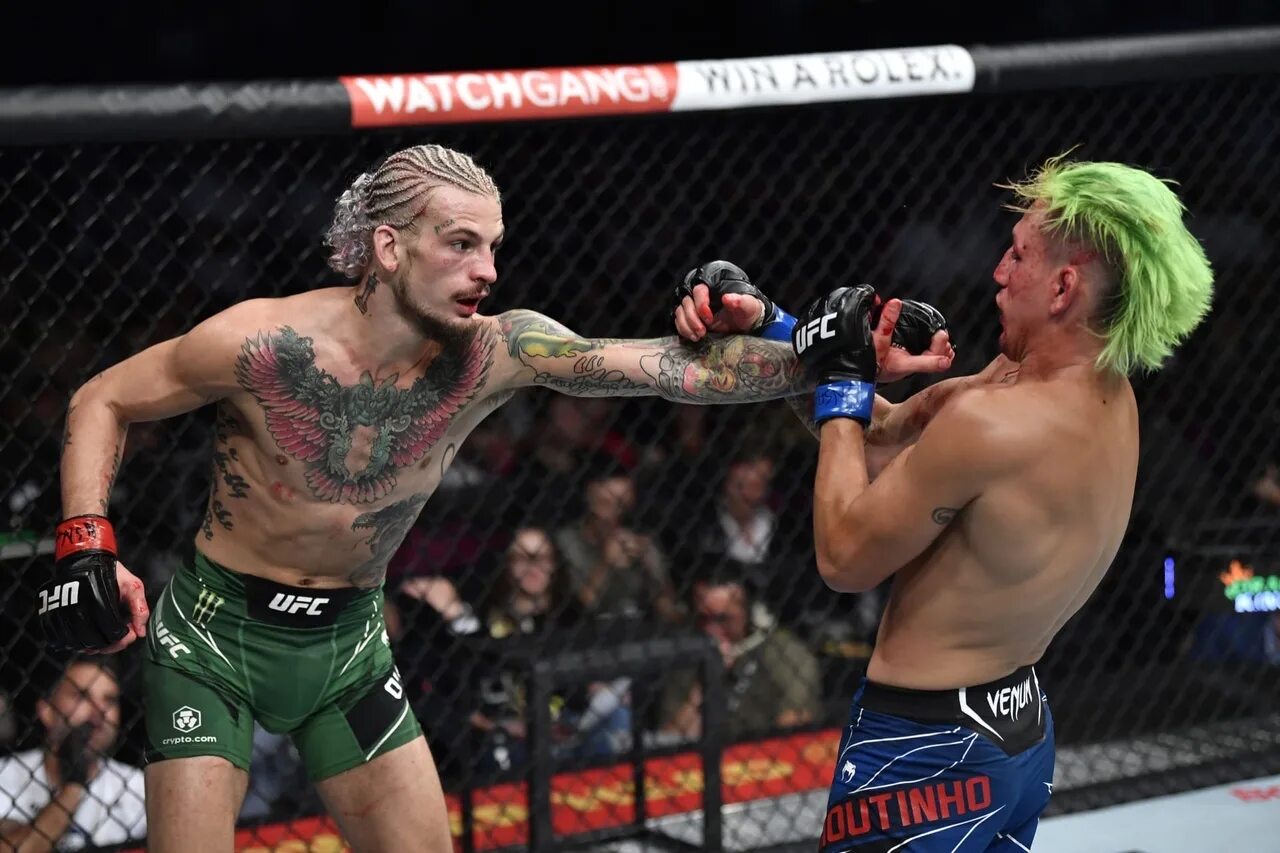 Лит бой. Ufc шон о&#039;мэлли. шон о мэлли последний бой.