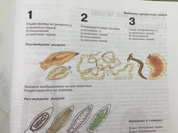 Используя содержание текста паразитические черви. Используя содержание текста паразитические черви