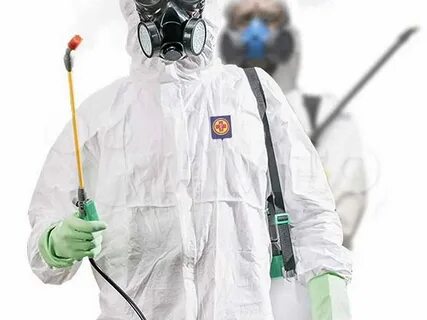 Дезинсекция спб