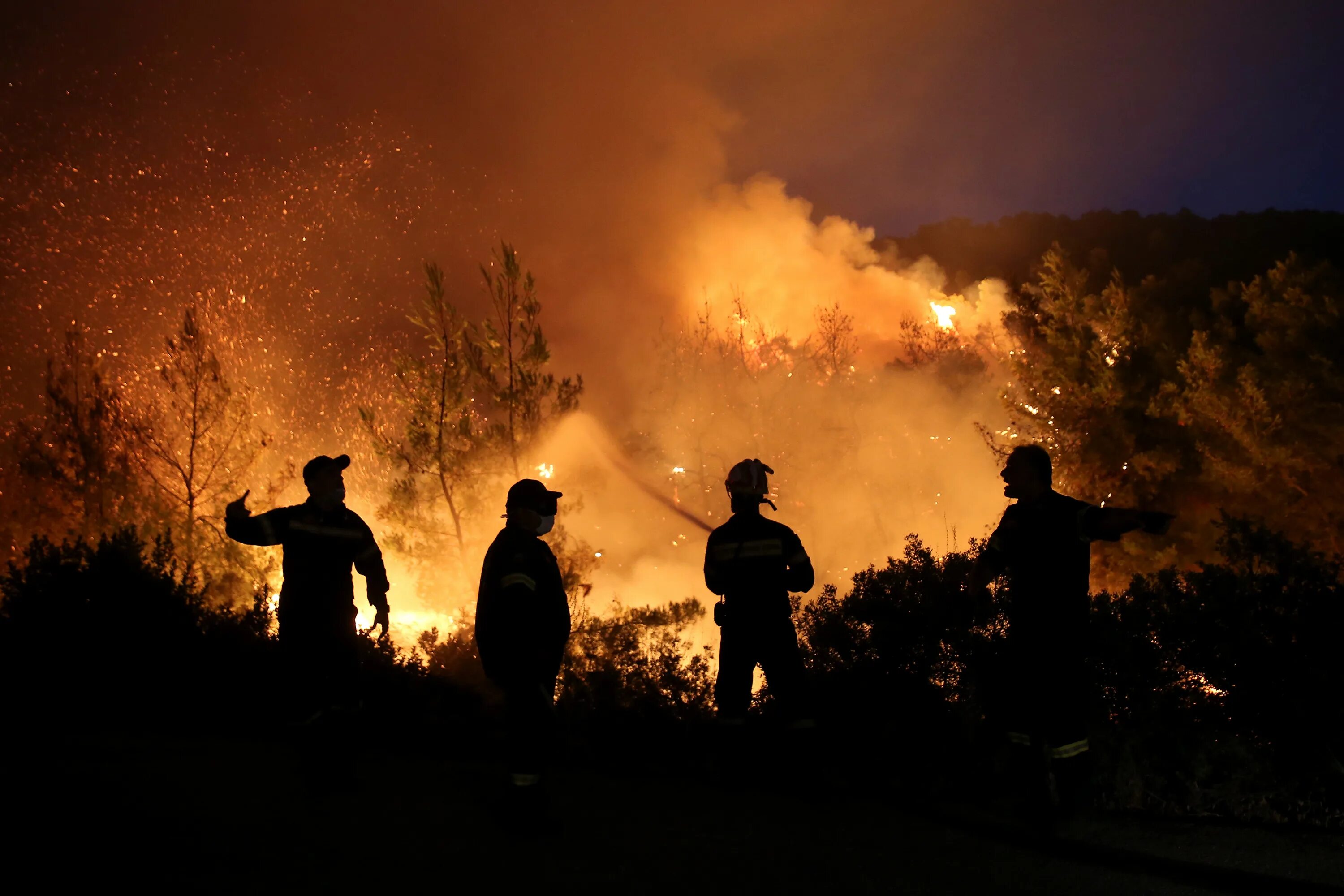 Пожар на природе. Fires people. Тушение низового пожара в лесу. Лесные пожары. Человек и пожар в лесу.
