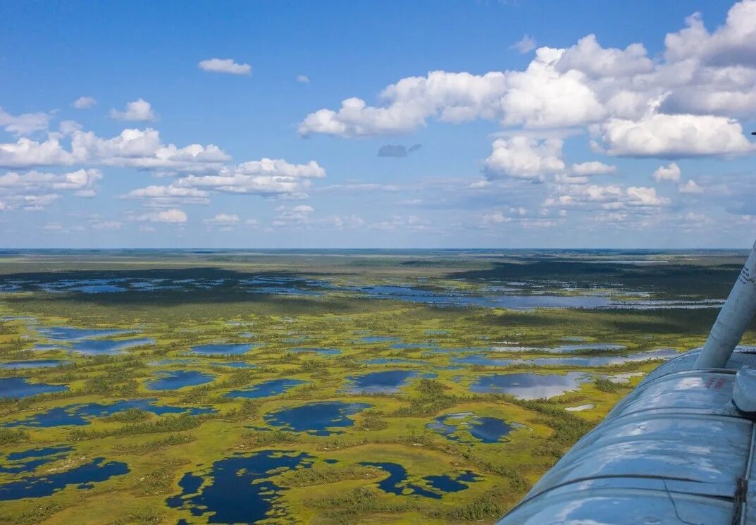 Озеро самусь томск. Томская область море. Река яя кемеровская область. Томская область море. Осетрово нельмовый заказник томской области.