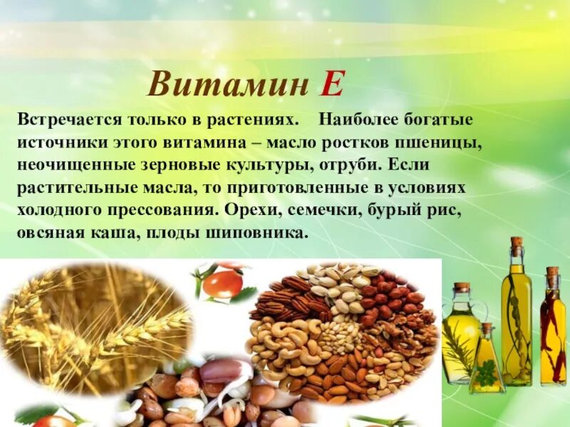 ТВОРЧЕСКИЙ ПРОЕКТ САДОВЫЙ РЫХЛИТЕЛЬ - БОТАН