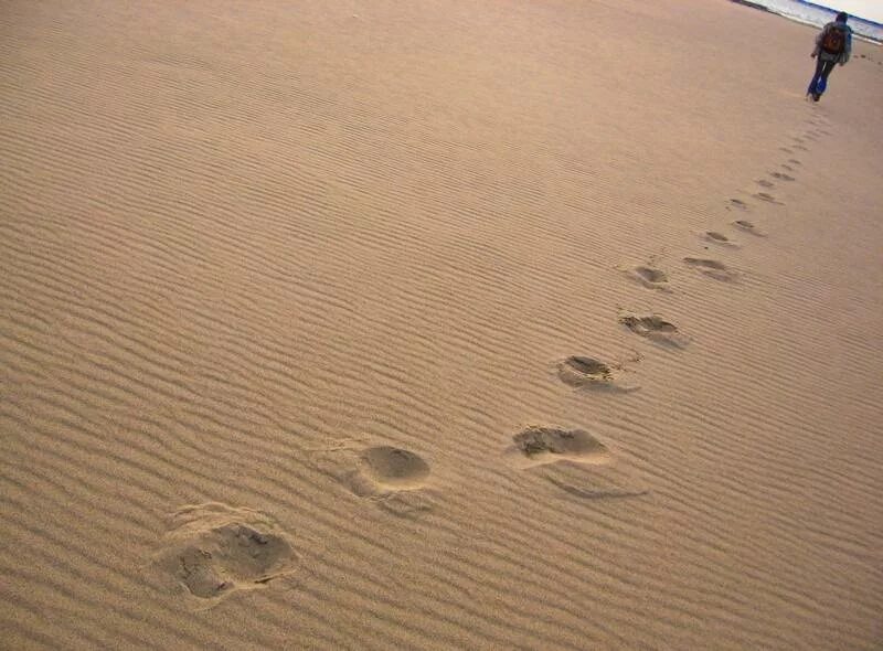 Поверни следы. След человека на земле. уходящие следы. следы человека на песке. человек оставляет следы.