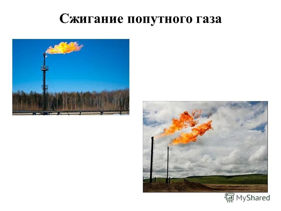 Сжигание попутного газа рациональное. Сжигание попутного газа. Технология сжигания попутного газа. Факел сжигания попутного газа. Сжигание попутного газа Горыныч.