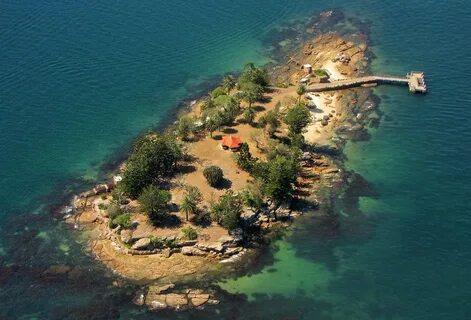 Shark island