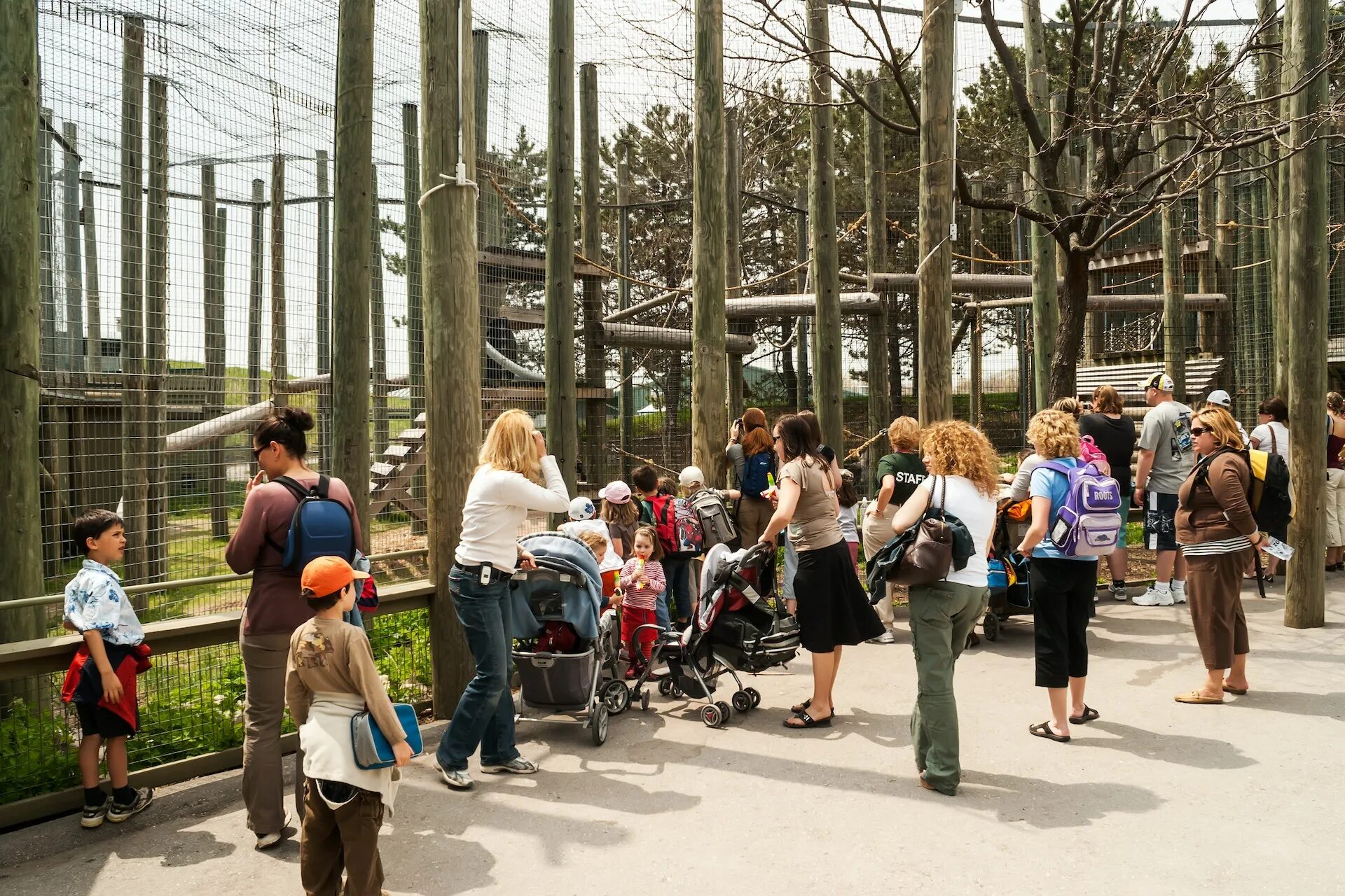 Посещение зоопарка средняя группа. Зоопарк в Торонто Канада. Толпа в зоопарке. Толпа народа в зоопарке.