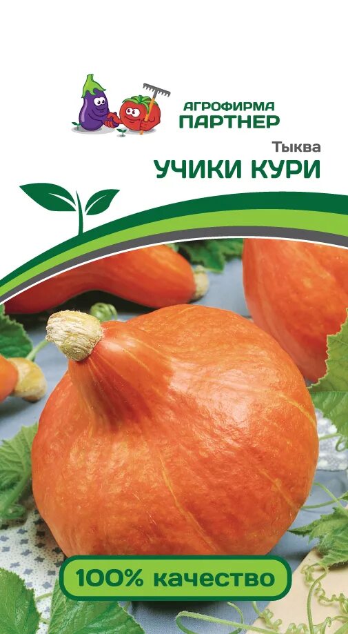 Тыква сорт учики кури. Тыква учики кури f1. семена тыква учики кури. семена тыквы агрофирмы партнёр. тыква каприз f1 партнер.