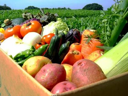 Продукты растениеводства в пищу