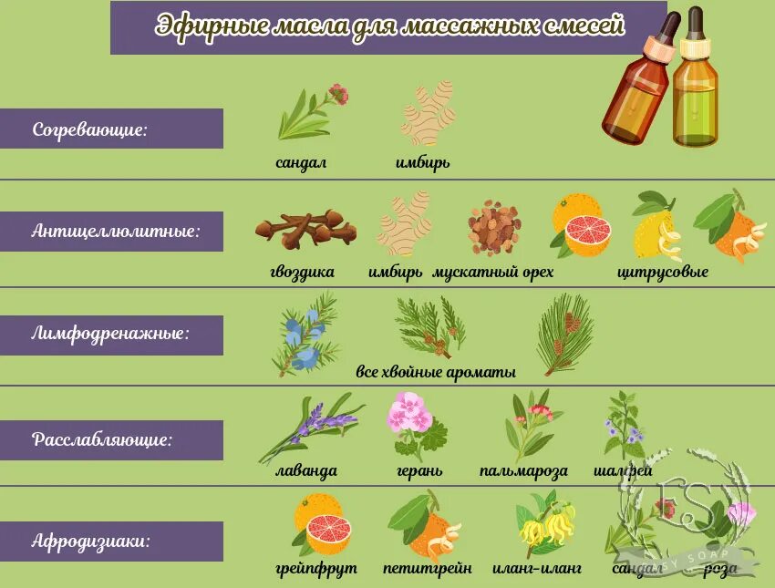 Свойства масел. Хвойные цветочные масла свойства. Цитрусовые хвойные цветочные масла свойства.