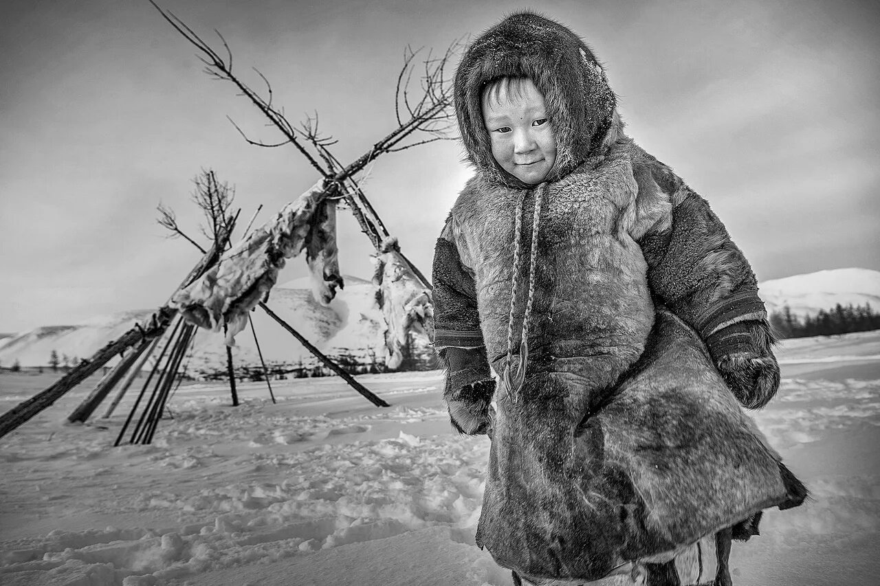 Ханты ненцы селькупы. (Ненцы, Ханты, манси, селькупы. Самоеды ненцы. Сальгадо ненцы.