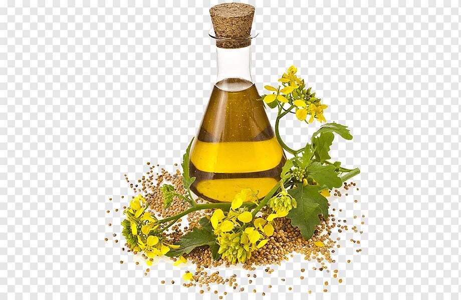Для чего применяется рапсовое масло. Рыжиковое масло. рыжиковое масло canola. рапсовое масло, масло канолы. рапсовое масло от тли.
