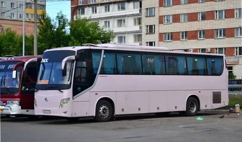 Омск астана автобус